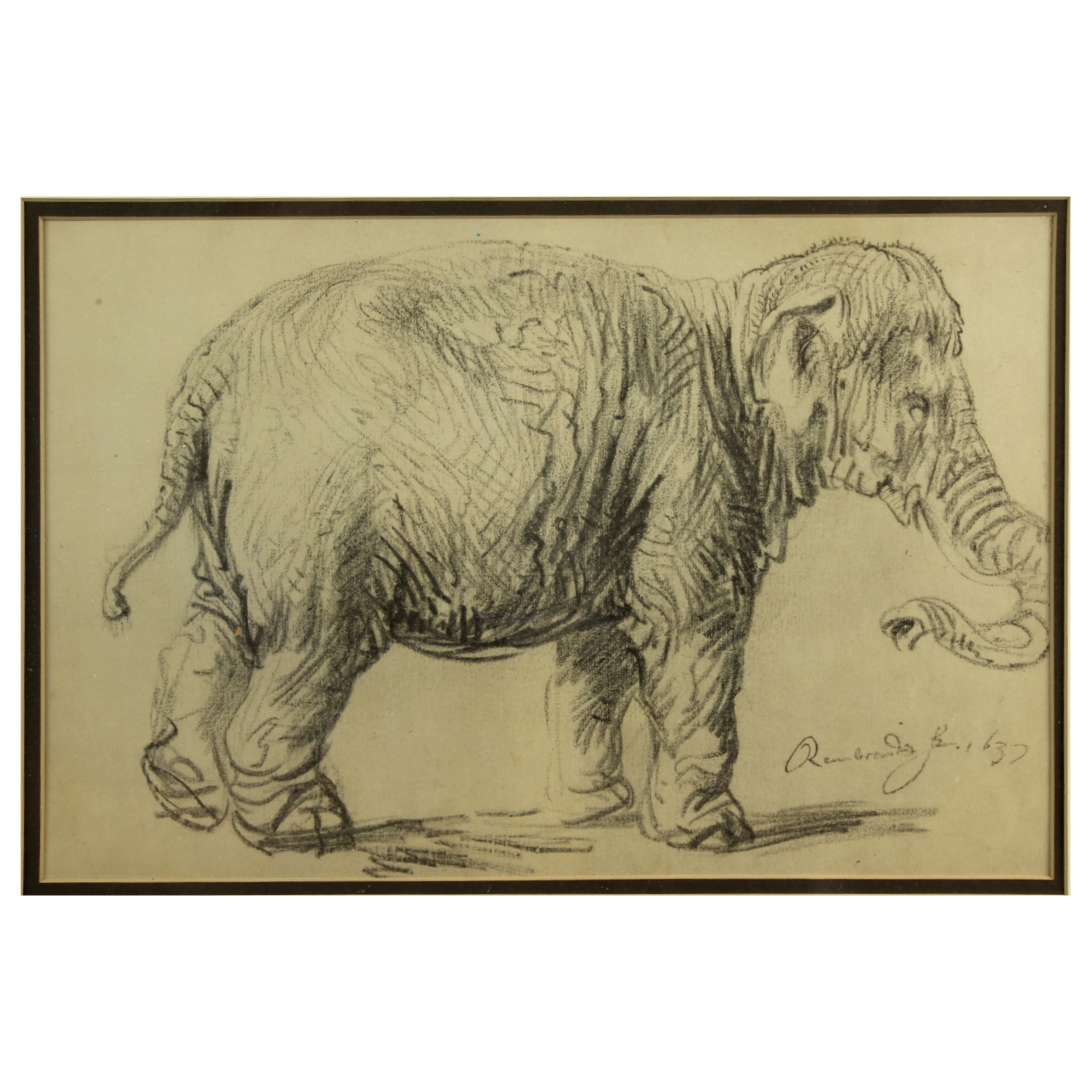 Etchings, Elephant Studies Attr. to Rembrandt Van Rijn